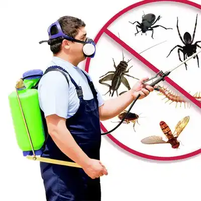 pest control Hanson